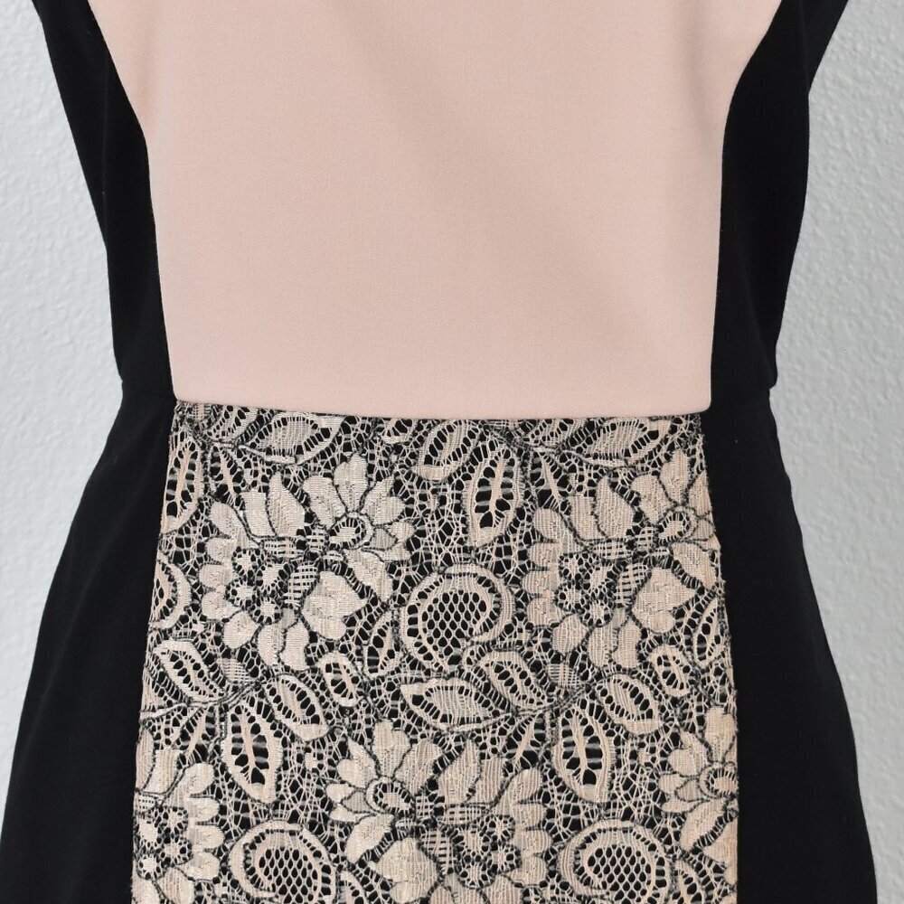 Calvin Klein Lace Color Block Sheath Dress - 6 - Picture 2 of 8